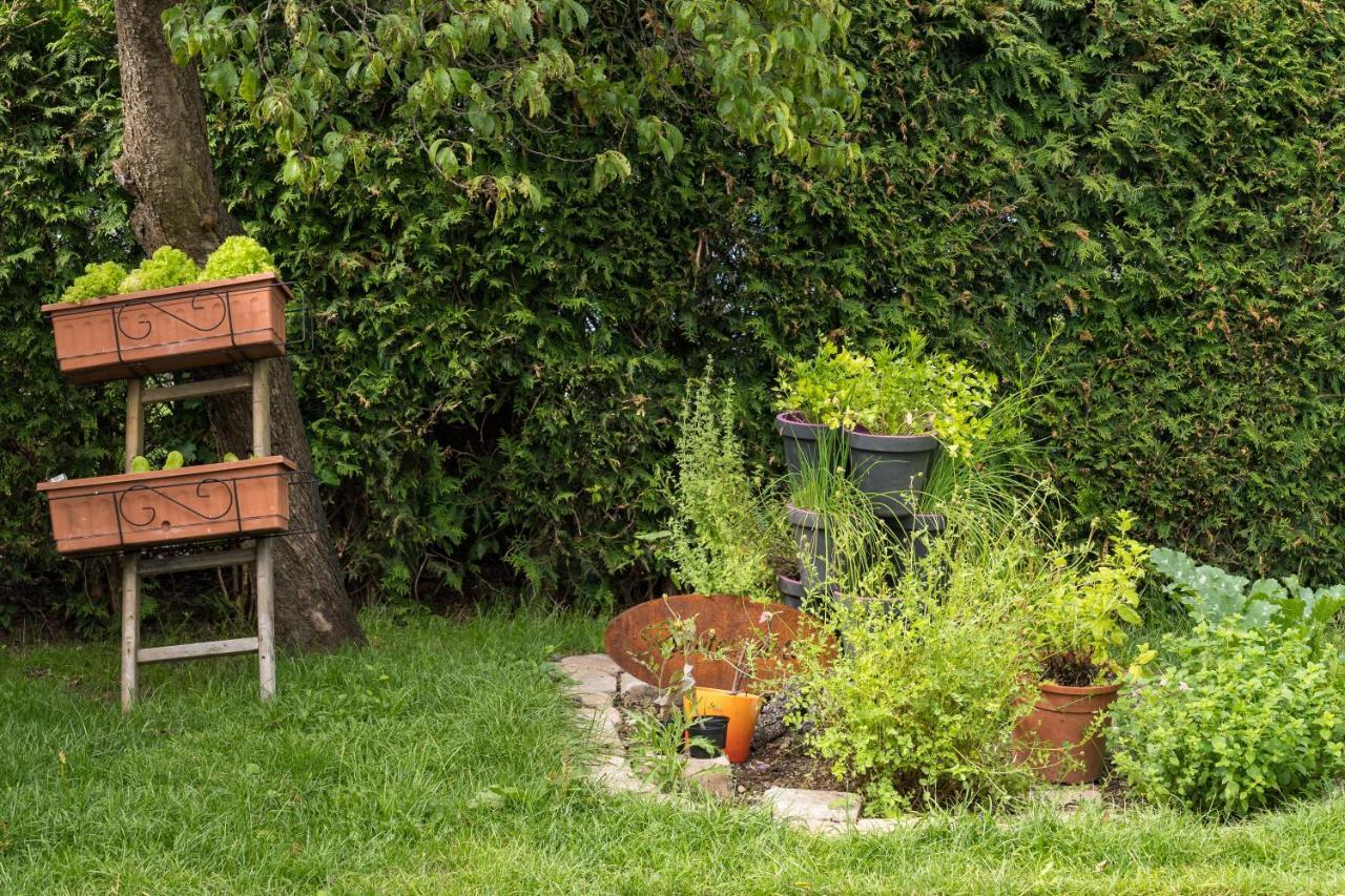 Ferienwohnung Zobl フュッセン エクステリア 写真